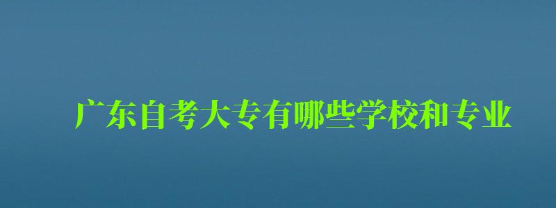 廣東自考大專有(yǒu)哪些學(xué)校和專業